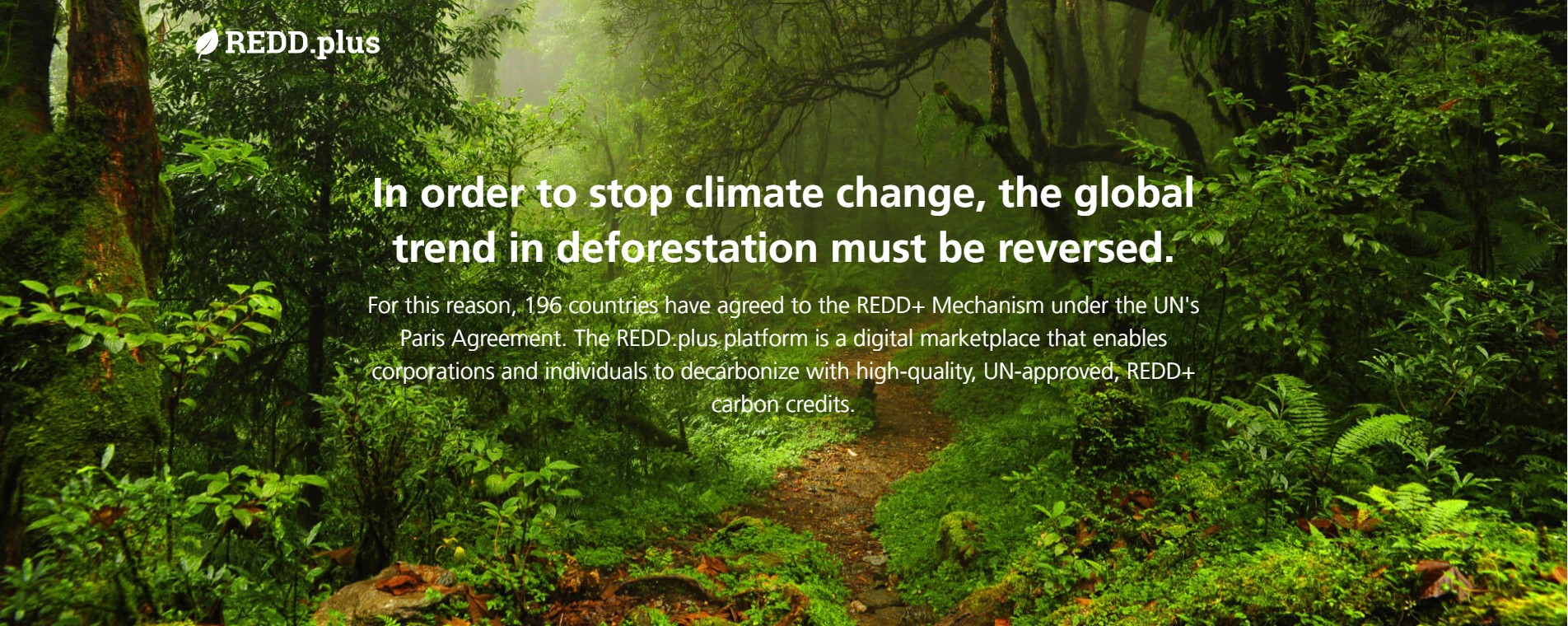 View REDD's images on CB/I Digital Case Study Page of Platform Development Service.