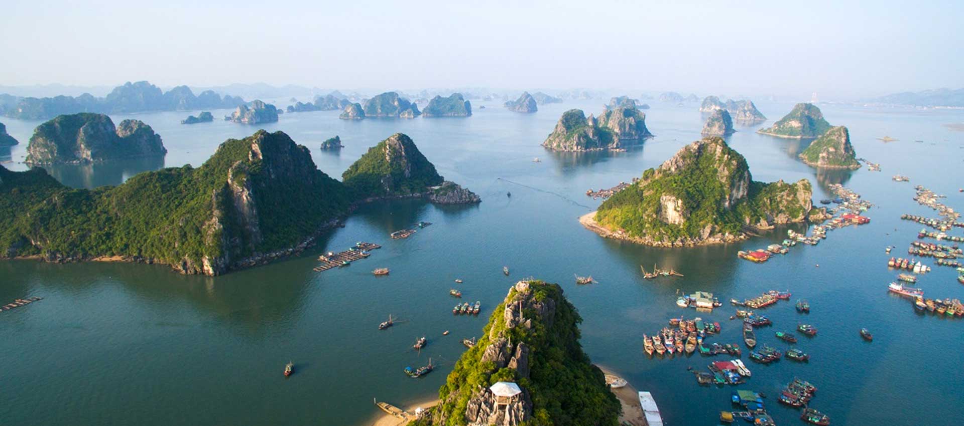 View Viet Asia Foods's images on CB/I Digital Case Study Page of Platform Development Service.