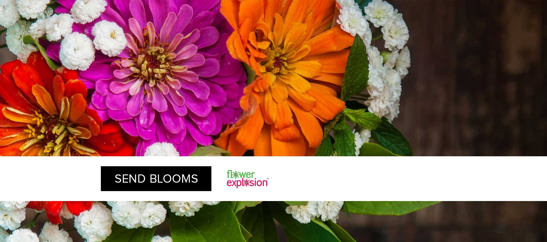 View Flower Explosion's images on CB/I Digital Case Study Page of Platform Development Service.